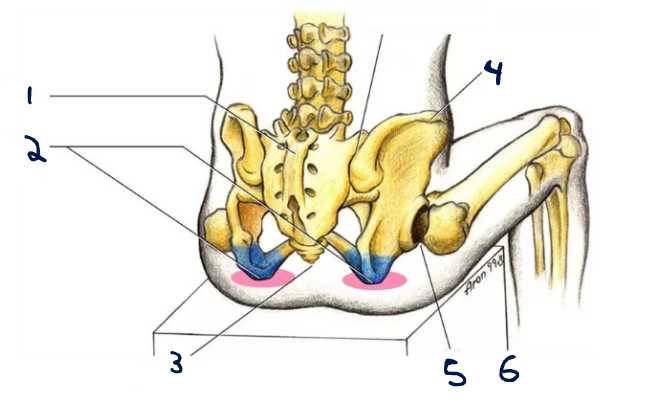 <p>4</p>