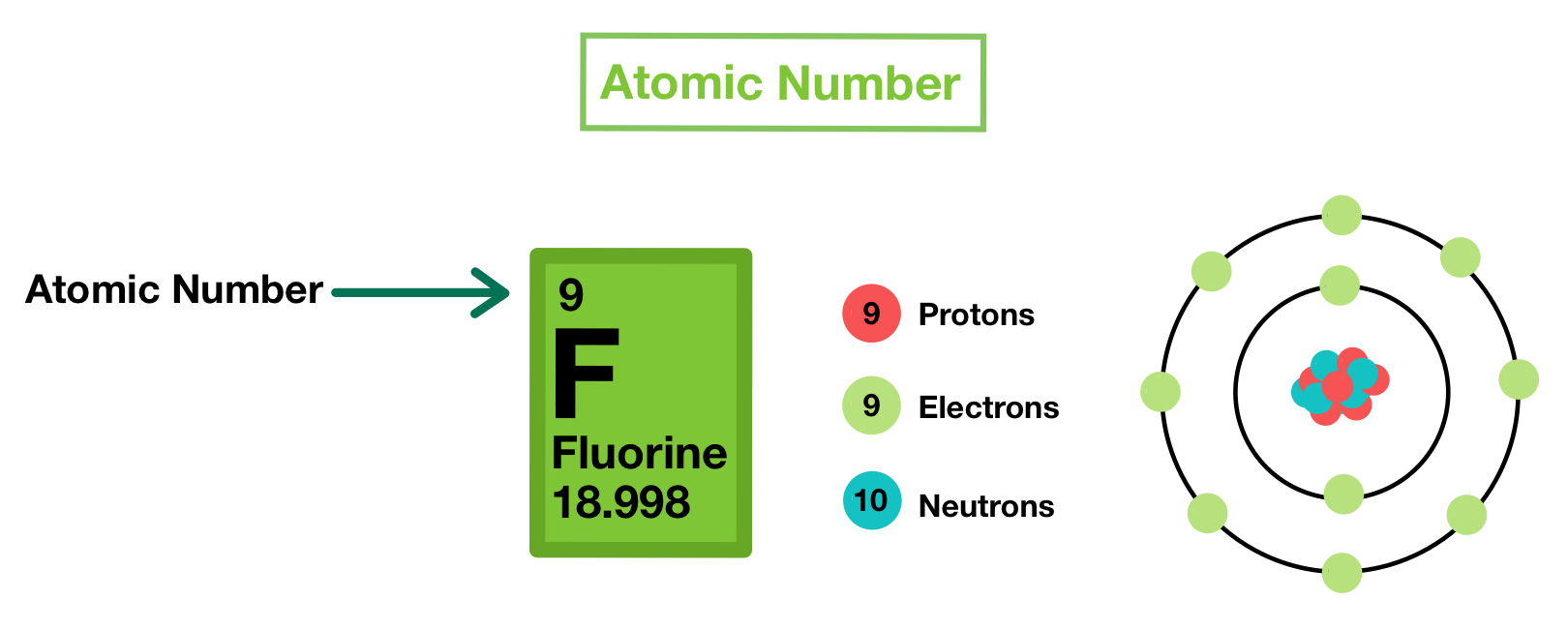 <p>Represents the number of protons that element has in its nucleus. </p>