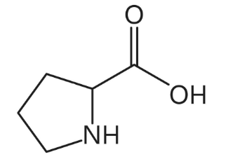 <p>What is this amino acid?</p>