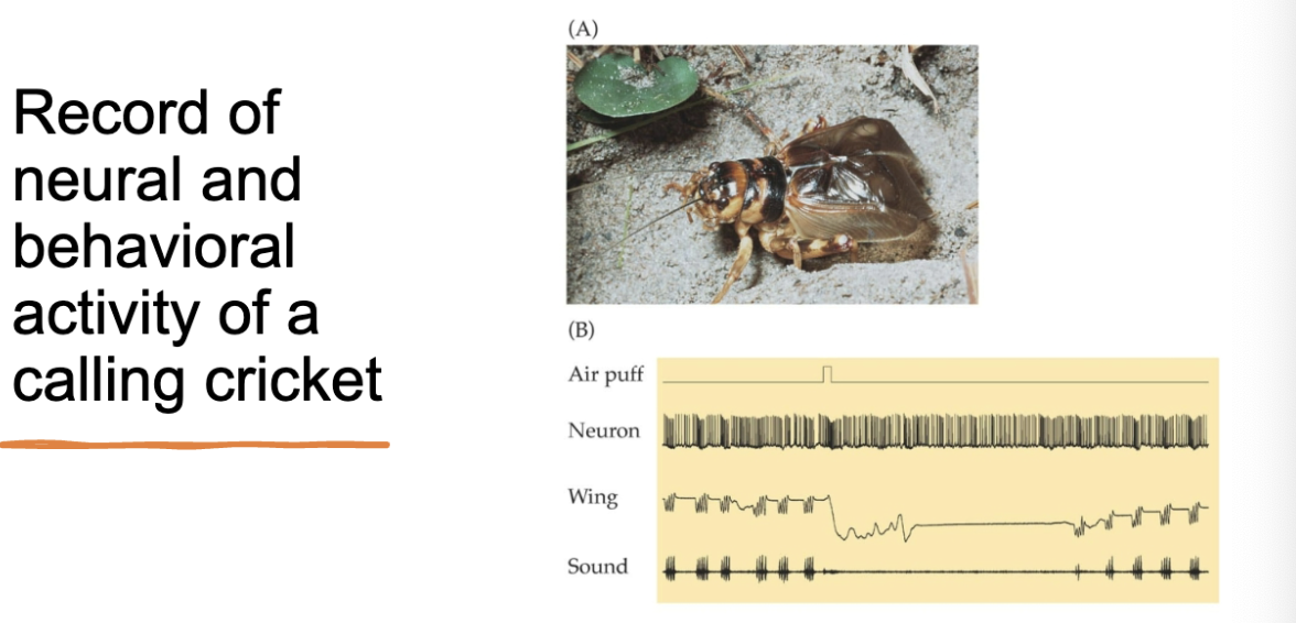 <p>make sense of this </p>