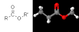 <p>What functional group is this?</p>