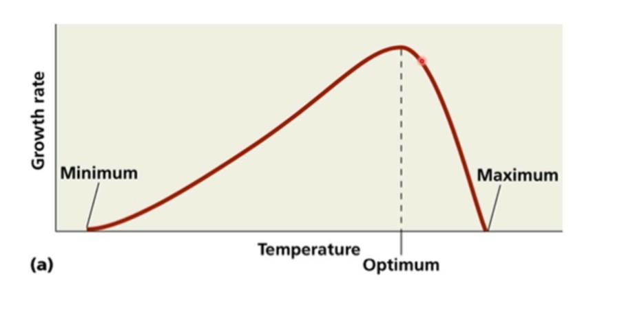 <p>What explains the shape of a growth vs temperature curve for a bacterium (or Chlamy)</p>