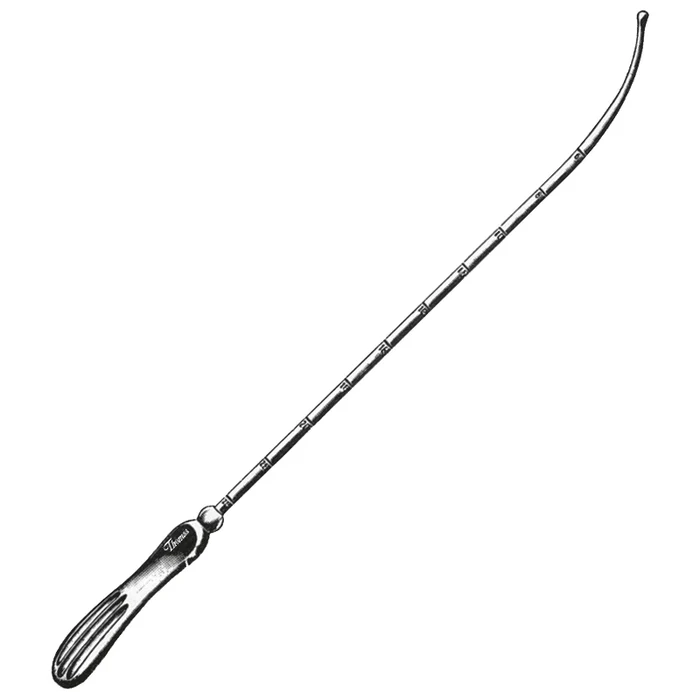 <p>what instrument is this</p>