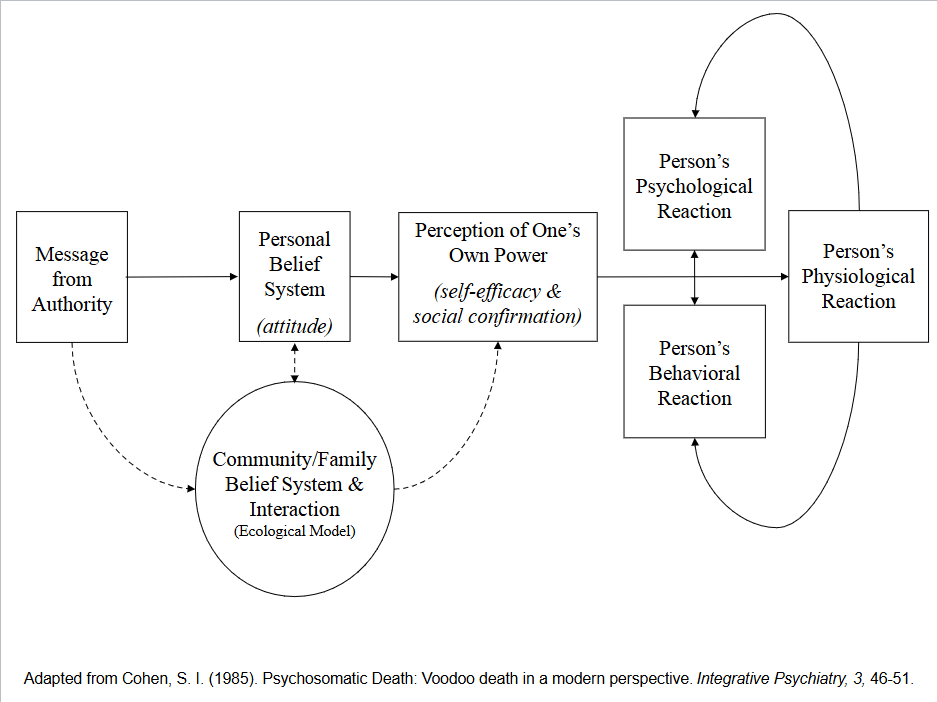 <ol><li><p>Message from Authority: A witch doctor say you’re going to die</p></li><li><p>Community/Family Belief System (Eco Model): Whether they also believe the authority or not which may lead to withdrawing support </p></li><li><p>Personal Belief System: You have to believe the authority to feel the effects (does your individual capacties meet environmental demands) </p></li><li><p>Perception of one’s own power (self-efficacy and social confirmation): can’t change oppressive system </p></li><li><p>Person’s Psychological Reaction: deserted, isolated </p></li><li><p>Person’s Bio Reaction: ANS/SNS, digestive, heart </p></li><li><p>Both leads to person’s Physiological reaction</p></li></ol><p></p>