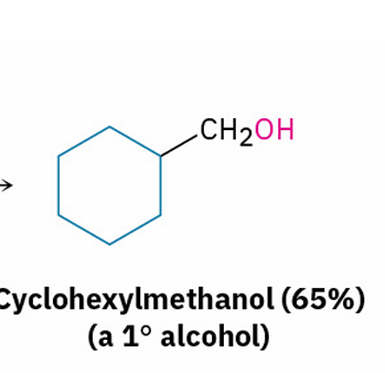 <ul><li><p>primary alcohol</p></li></ul><p></p>