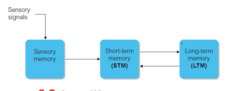 <p>Sensory memory is the stage of memory that takes in virtually everything registered by sensory receptors and holds it briefly for organization and encoding.</p>