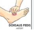 <p>on the foot</p>