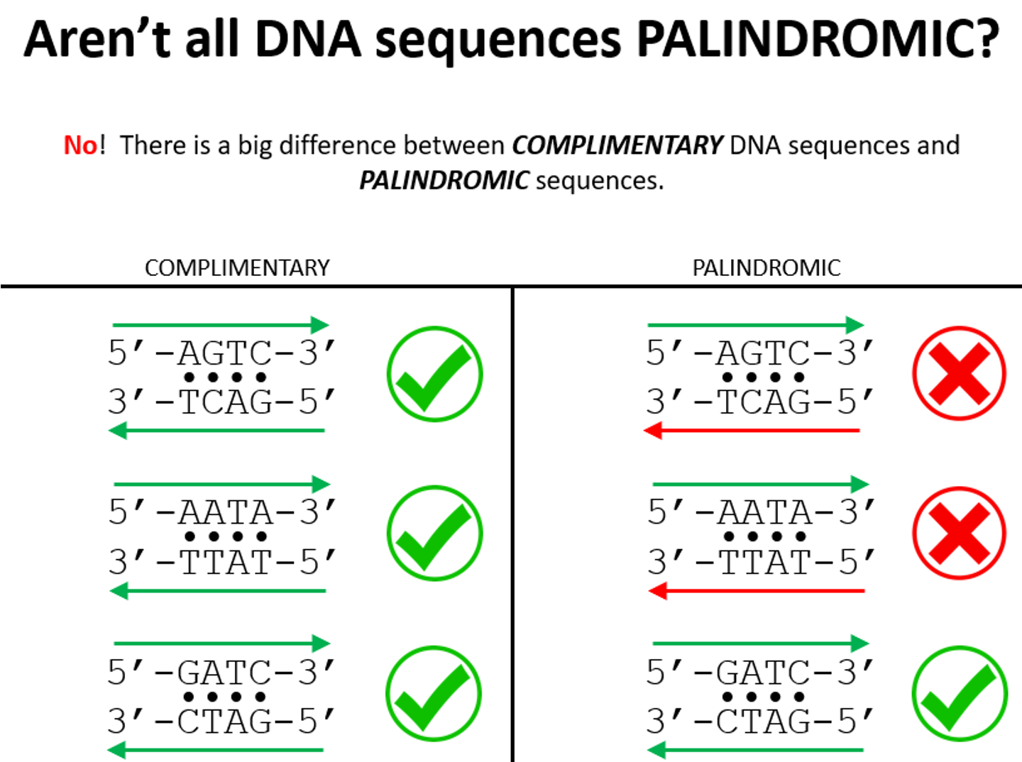 <p>Palindromic Sequence</p>