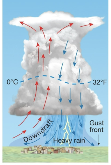<p>This image shows the _______ stage of an ordinary cell thunderstorm</p>