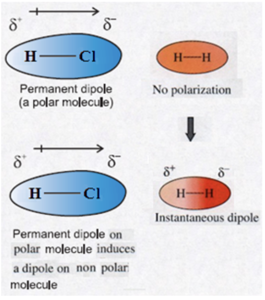 <p>The polar molecule (which is said to have a permanent dipole) creates a temporary dipole in the non-polar molecule. This is called an induced dipole. This temporary dipole creates an electrostatic attraction between the two molecules.</p>