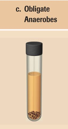 <p>clumped at the bottom</p>