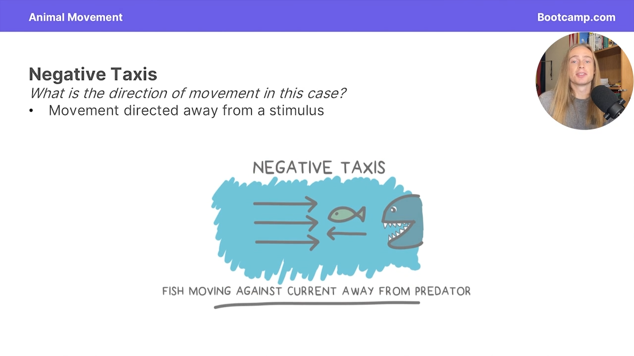 <p>Movement directed away from a stimulus </p>