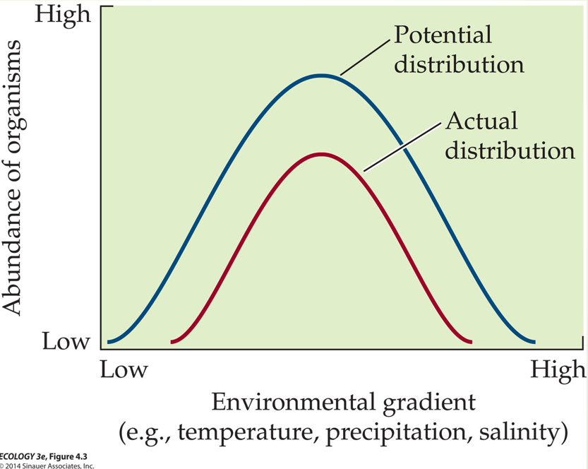 <p>Potential is where organisms could live based on physiology alone.</p><p>Actual is where they actually live.</p>