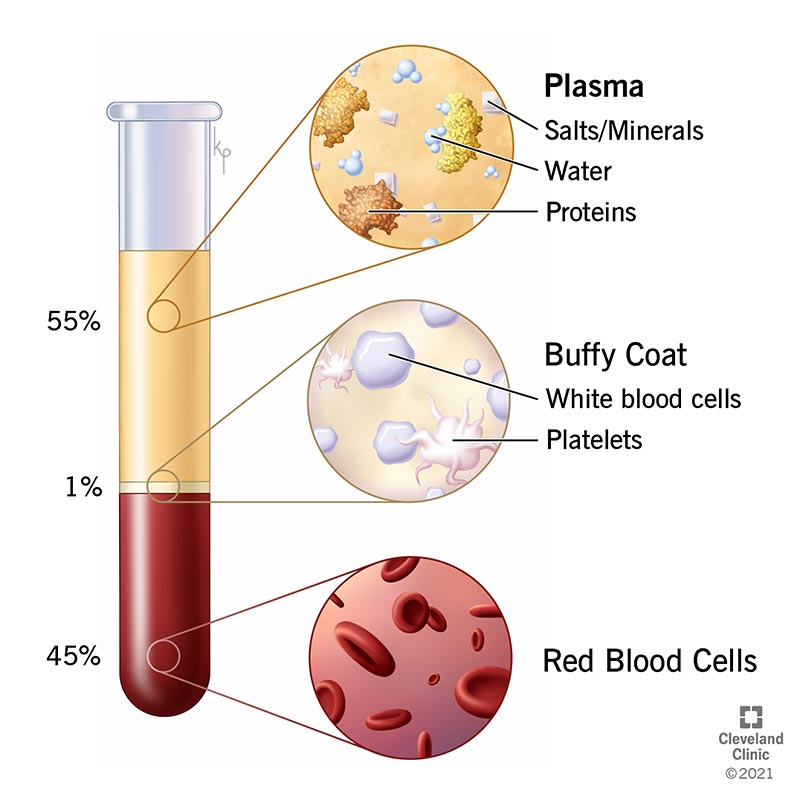 <p>the pale-yellow liquid part of your blood or a superheated, electrically charged gas that makes up most of the universe</p>
