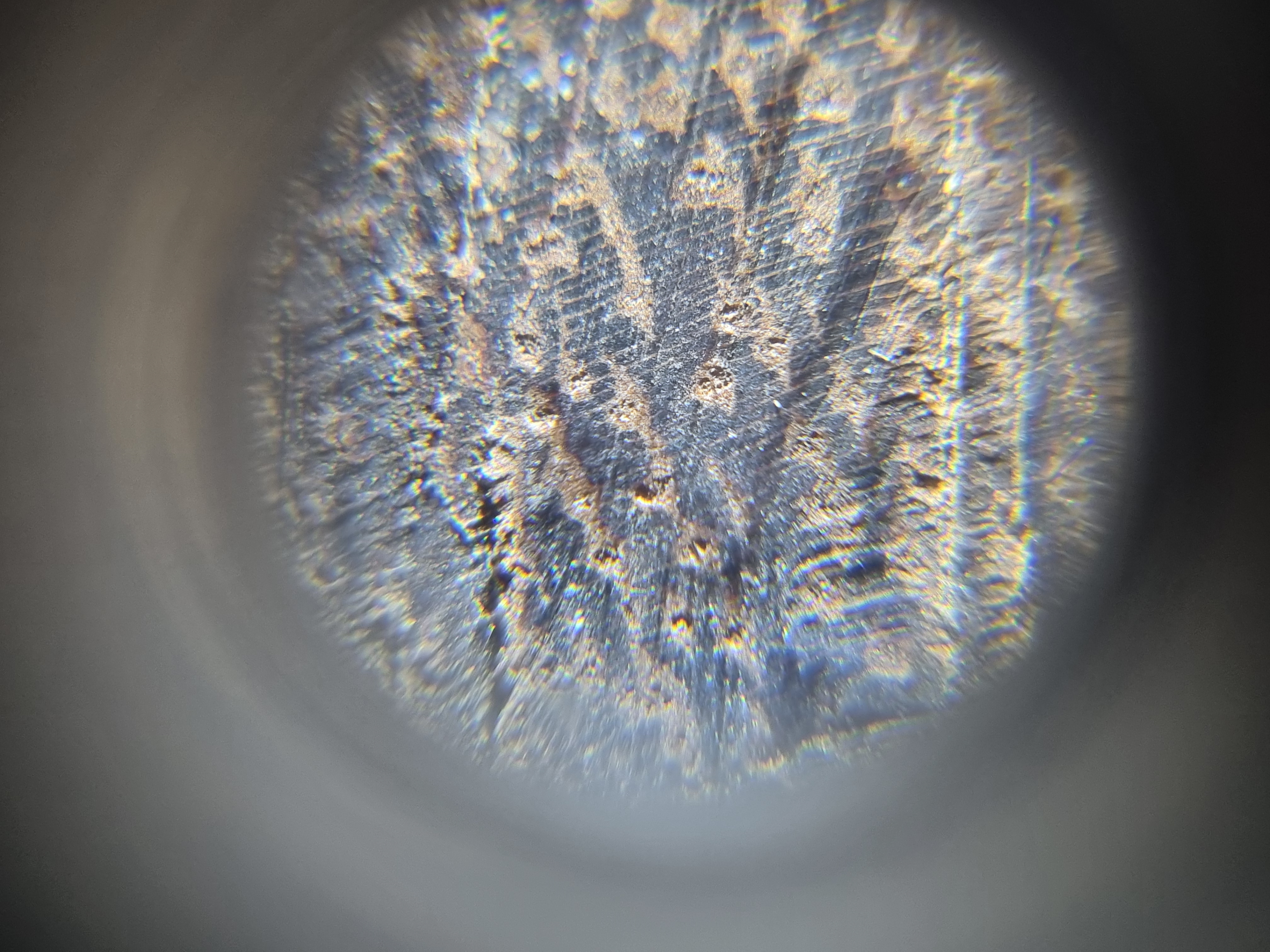 <p>Profuse tyloses , " blind " pores , and its banded confluent parenchyma</p>