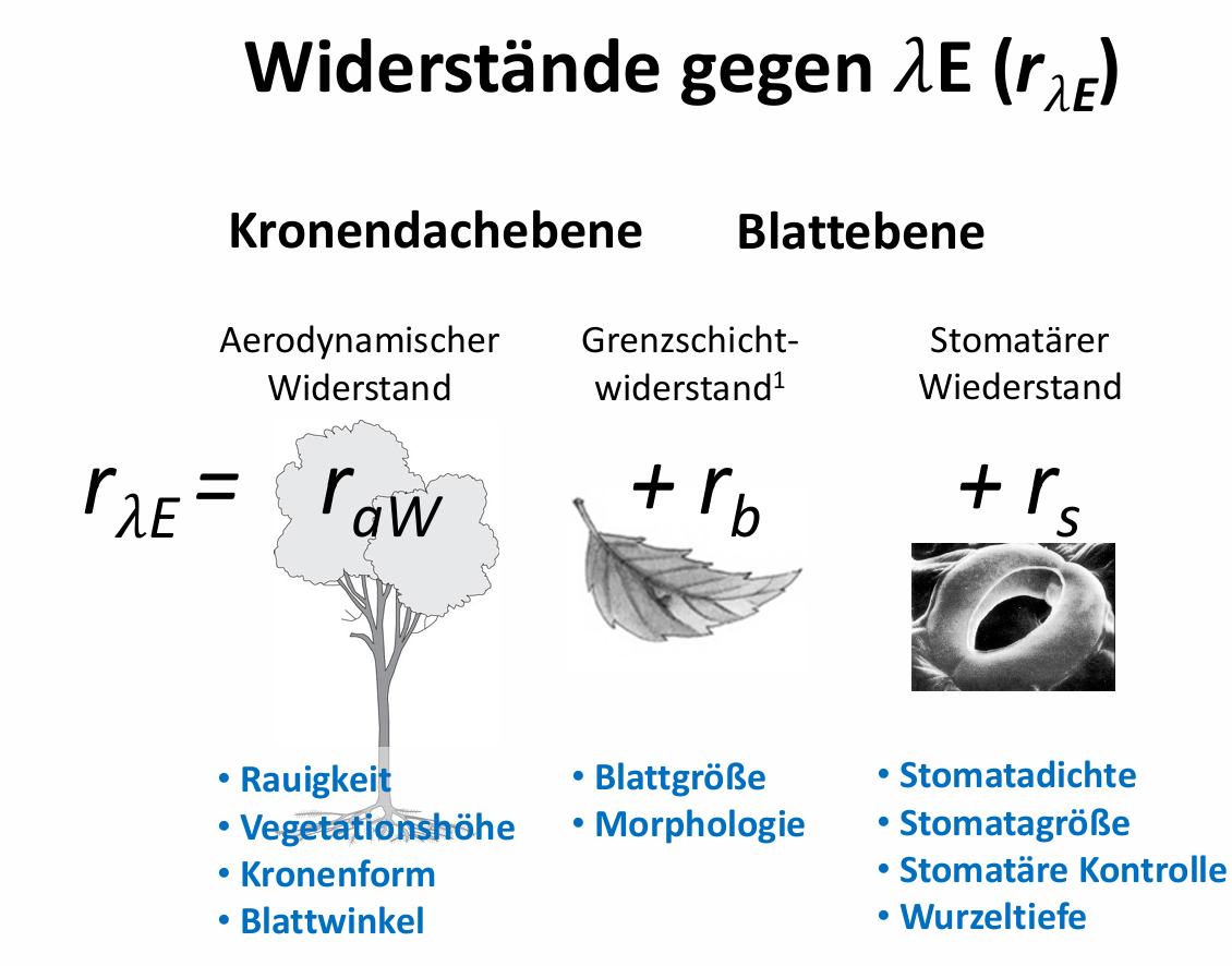<ul><li><p><span>Wasser verdunstet durch Transpiration (Stomata) und Evaporation (Oberfläche von Boden und Vegetation) --> beides zusammen ist Evapotranspiration</span></p></li><li><p><span>Dabei wird der Umgebungsluft Energie entzogen, Umgebungsluft abgekühlt, Energie als latente Wärme in Wasserdampf gespeichert</span></p></li><li><p><span>Konvektion und Turbulenz transportiert feuchte Luft aus dem Ökosystem</span></p></li></ul><p></p>