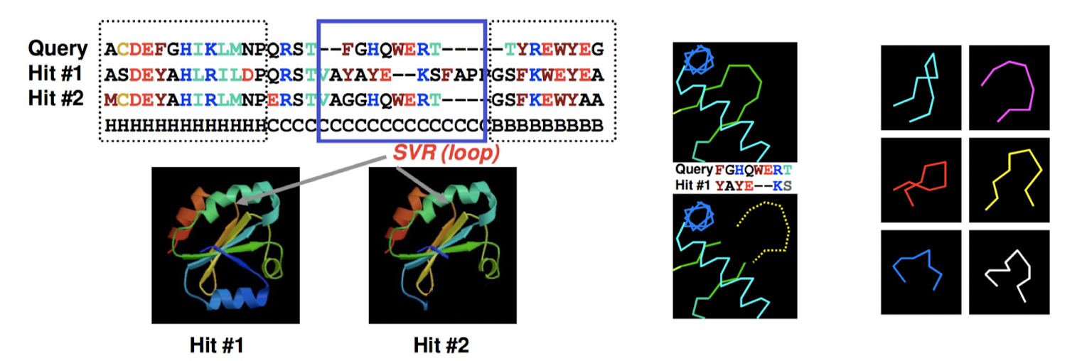 <ul><li><p>loop modeling: predicting missing regions</p></li><li><p>identifying sequence variable regions and testing different loop templates/models (database search)</p></li><li><p>loop regions may differ b/w homologs</p></li></ul><p></p>