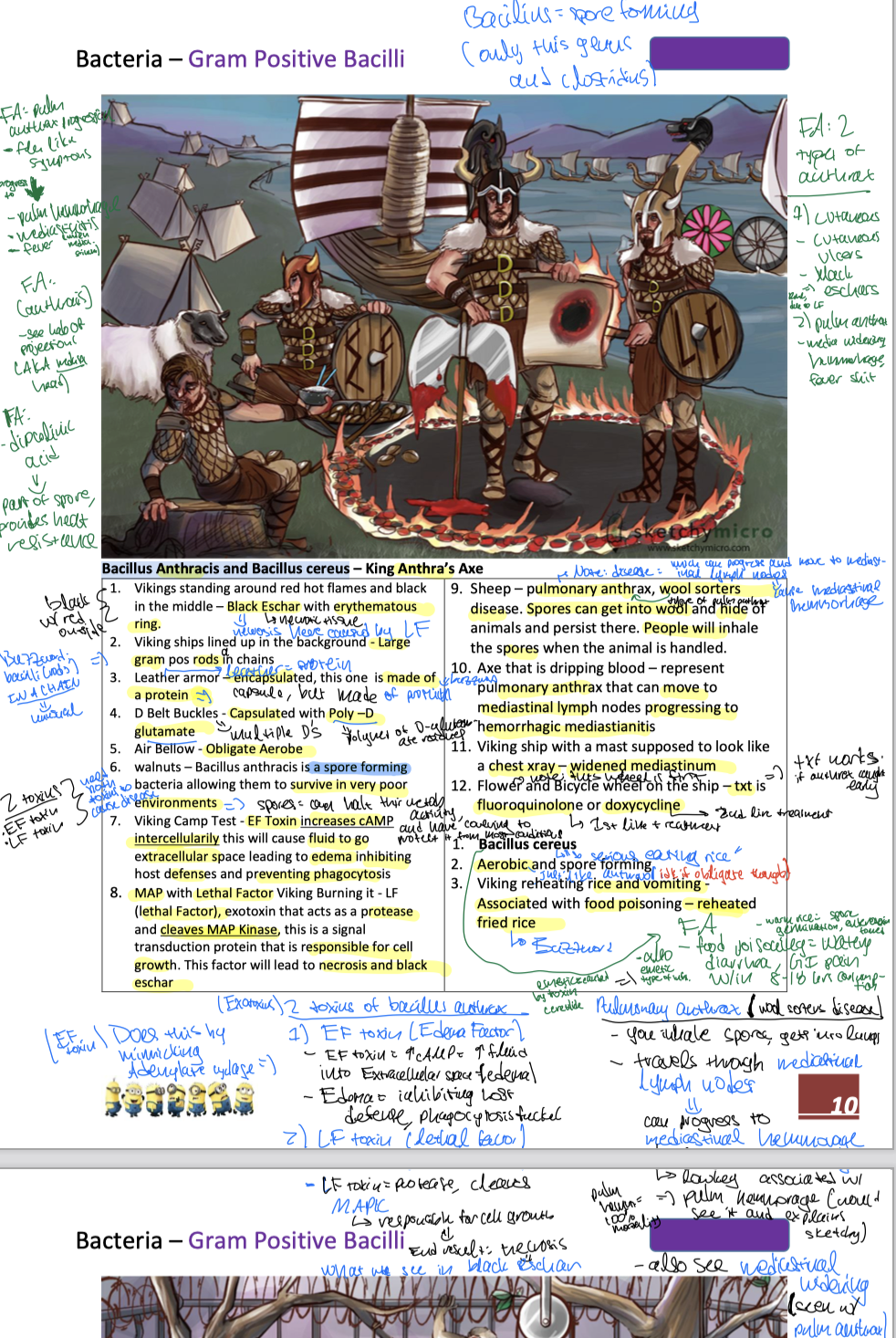 knowt flashcard image