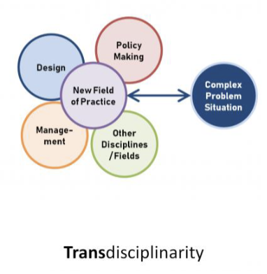 <p>Transdisciplinary Teams</p>