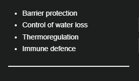 <p>Barrier protection</p>