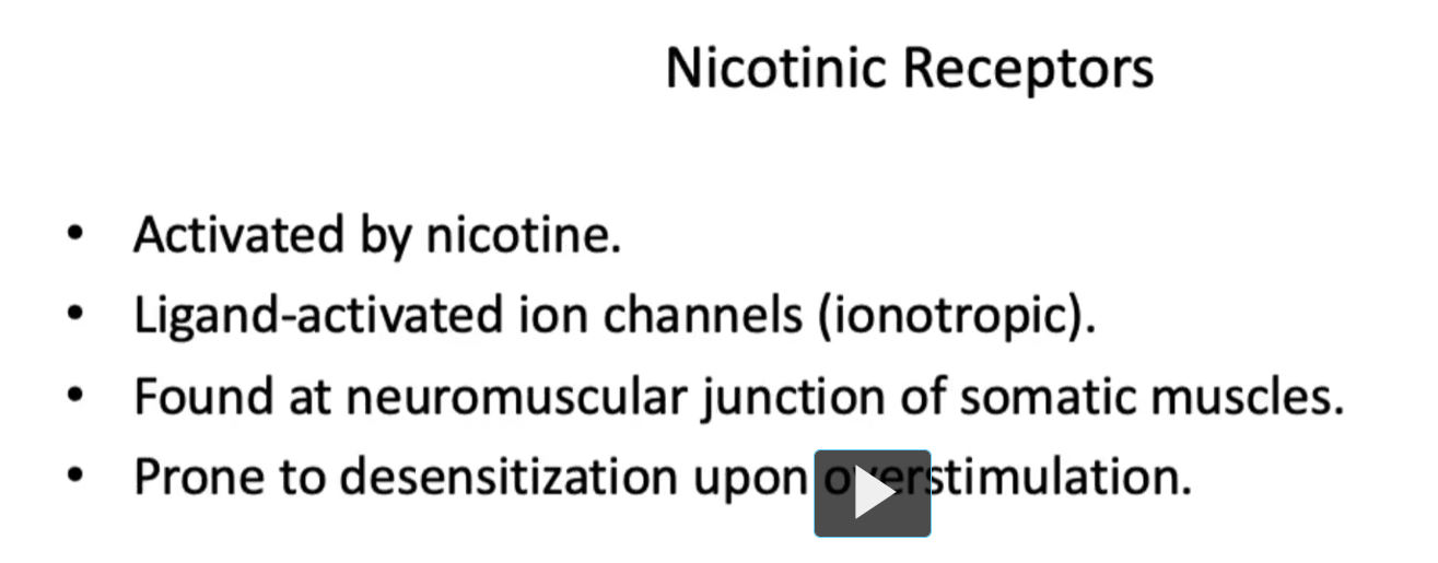 <p><u>Nicotinic Receptors</u></p><ul><li><p>nicotinic receptors are activated by nicotine.</p></li><li><p>Ligand-activated ion channels (ionotropic).</p></li><li><p>Found at neuromuscular junction of somatic muscles.</p></li><li><p>Prone to desensitization upon overstimulation.</p></li></ul><p>If <strong>nicotinic receptors are stimulated continuously or too strongly</strong>, they <strong>stop responding</strong>, even though the<strong> ligand (ACh or nicotine)</strong> is <strong>still present.</strong></p><p>But people who smoke don’t get paralysis because </p><p>1<strong>. Dose</strong> and<strong> duration</strong> are <strong>very different </strong></p><ul><li><p><strong>Paralysis (like with succinylcholine)</strong> happens when<strong> receptors</strong> are:</p><ul><li><p><strong><u>continuously</u> flooded</strong> with<strong> agonist</strong></p></li><li><p>at <strong>high concentrations</strong></p></li></ul></li><li><p>Smoking delivers <strong>lower, intermittent doses</strong> of nicotine<br>Not enough to keep receptors constantly activated</p></li></ul><p></p>