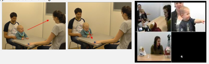 <p>at 12 months what are two things infants do when they realise attention can be shared? (emergence of self)</p>