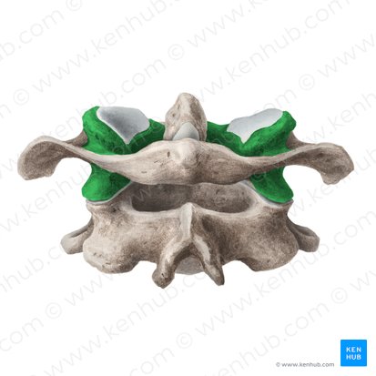 <p>Atlanto-axial joint movement</p>