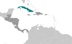 <p>Habana</p>