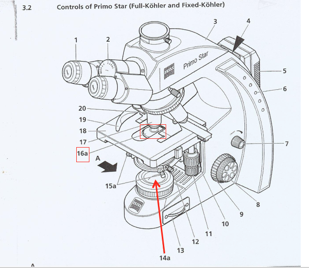 <p>What part of the microscope is this + what does it control?</p>