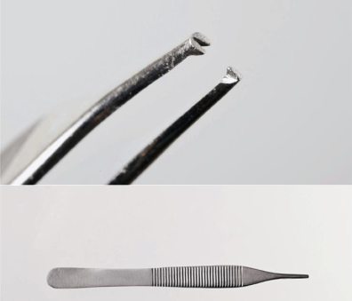 <p>Forceps </p>