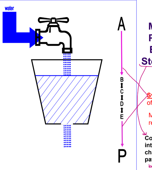 <ul><li><p>steady state</p></li><li><p>Synchronous regulation of irreversible reactions, Most reactions are reversible</p></li><li><p>Concentrations of metabolic intermediates often do not change significantly once a pathway begins to operate bc you regulate first and last rxn </p></li></ul><p></p>