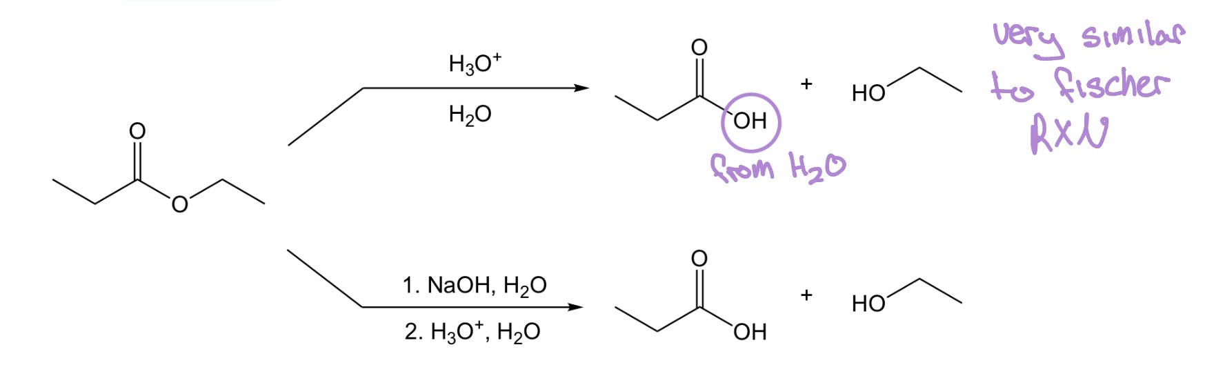 <p>Saponification</p>