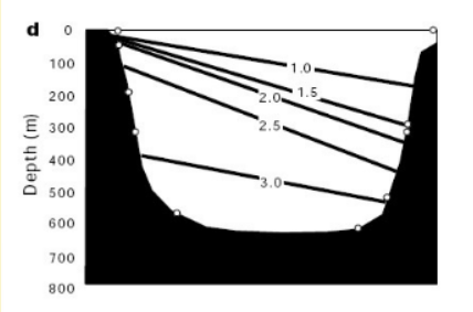 <ul><li><p>Last Glacial Maximum (last Ice Age)</p></li><li><p>Oxygen isotopes: During LGM, “titlt” was less than modern day conditions, meaning there was a slower fl, ow rate </p></li><li><p>14-21 Sv during LGM compared to 31 Sv in modern day </p></li><li><p>Slowing down = less heat transport North </p></li><li><p>However, 2024 paper suggests the opposite - a faster flow (due to increased wind sheer stress) during the LGM and a redirected path away from Florida (due to lower sea level, water locked up in ice)</p></li><li><p>Gulf Stream still functioned fast, but due to differences in temperature and sea level, it took a different path, bypassing the Florida Straits and went deeper </p></li><li><p>Stronger cold winds due to ice age, more severe temp and pressure differences led to very strong winds, which pushed the Gulf Stream more forcefully, resulting in a stronger flow rate </p></li></ul><p></p>