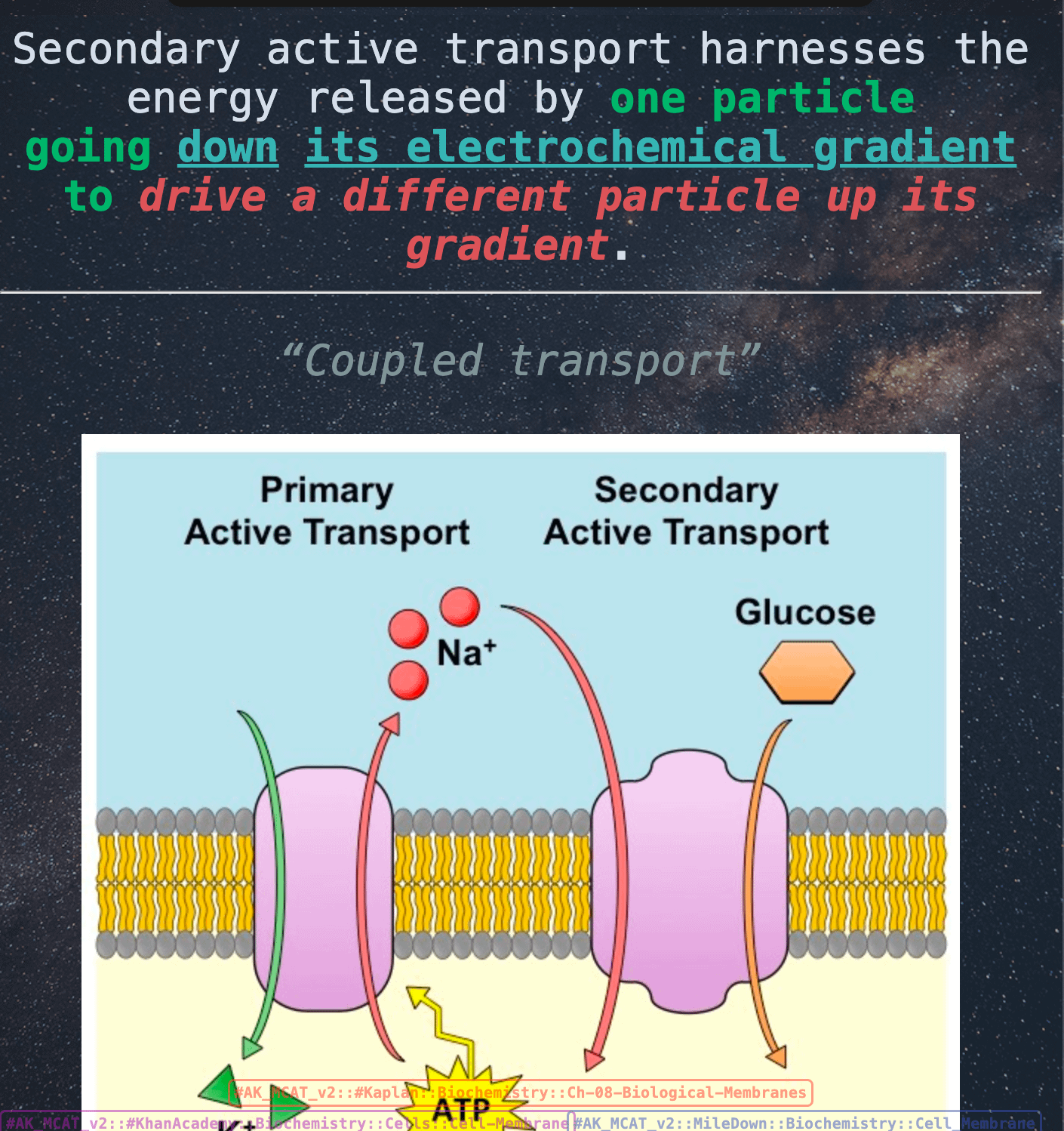 <p>a two staged transport mechanism where first a concentration gradient of some chemical (typically sodium ions) is established by active transport, an d then the transmembrane flow of this same chemical with its concentration gradient is used as the energy source to power transmembrane movement of some other molecule against its concentration gradient</p>