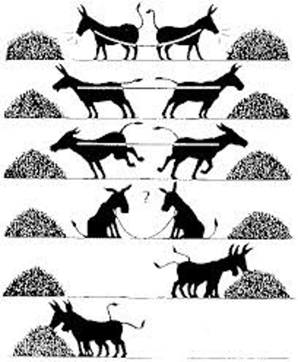 <p>A perceived incompatibility of actions, goals, or ideas.</p>