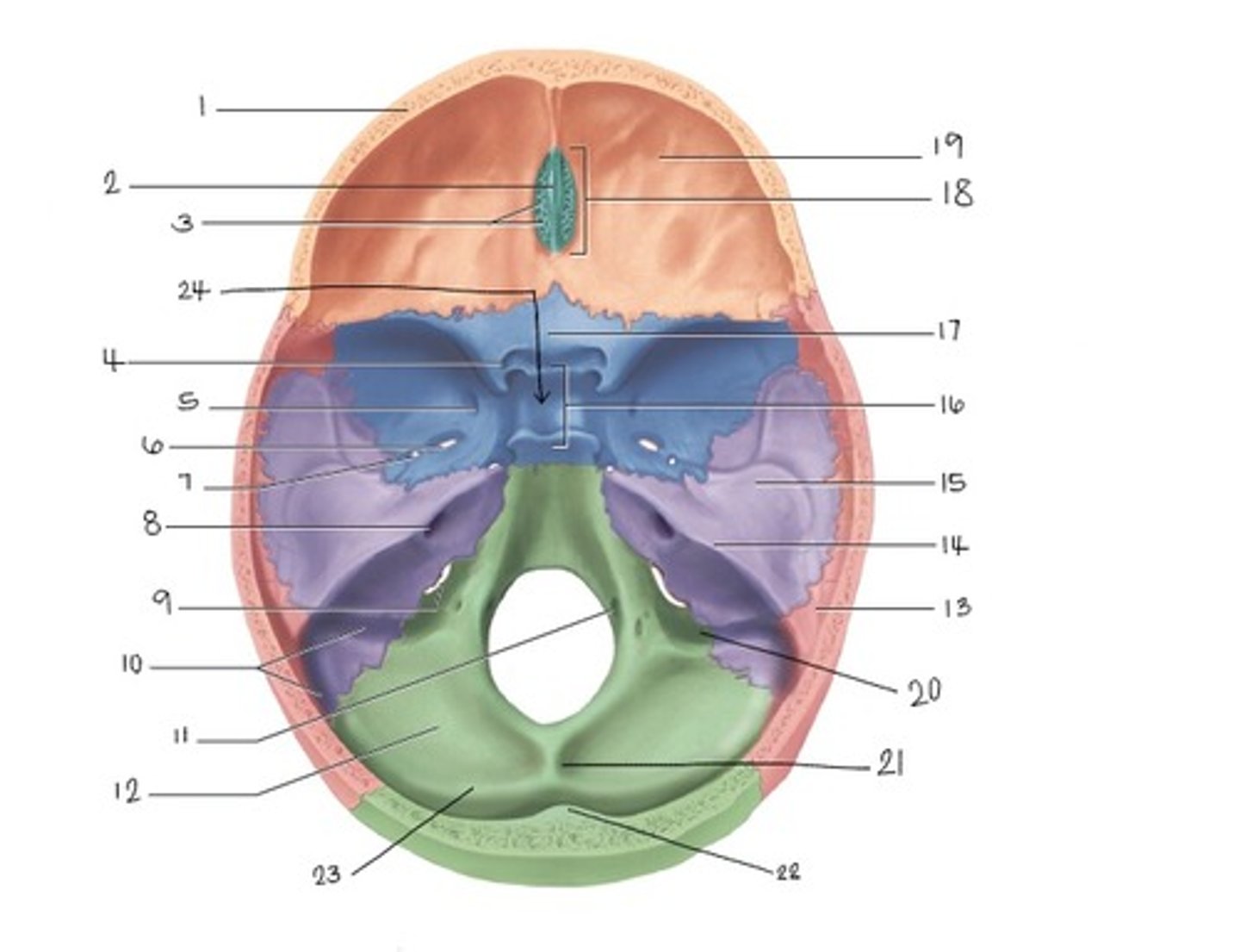 <p>What is label 8?</p>