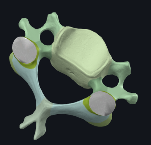 <p>the openings that look like eyes</p>