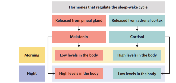 <p>What can you tell me about this diagram?</p>