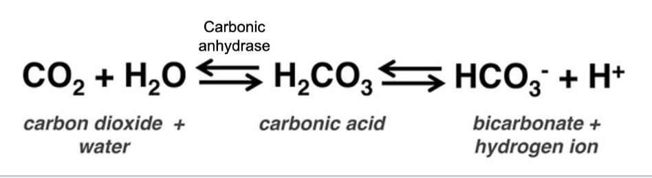 <p>MEMORIZE this equation and know what to use it</p>