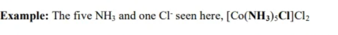 <p>group surrounding transition metal ion </p>