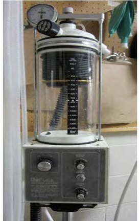 <p>what type of bellow is shown?</p>