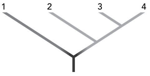 <p><span>In this outline of a phylogenetic tree, the numbers 1 to 4 each represent a species.</span><br></p><p>Which pair of species have the most <u>recent</u> common ancestor?</p>