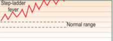 <p>What pattern is this </p>