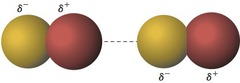 <p>- These are attractive forces that act between polar molecules or induced polar molecules. </p><p>- The interacting molecules typically have a partial positive and a partial negative end. </p><p>- Unlike Van der Waals forces, they don't have to be extremely close to each other, but they do need to be at a good distance. </p><p>- Physical Property Impact: Because the partial charges are permanent, they act like persistent magnets holding the liquid together. This makes it much harder for molecules to evaporate, significantly lowering the substance's vapor pressure compared to nonpolar liquids.</p>