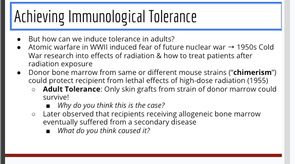 <p>Typically when you insert biological dna or smt from one thing to another </p><ul><li><p>ex donor bone marrow from different people to incorperate into a recipient body</p></li></ul><p>Adult tolerance: only skin grafts from strain of donor marrow could surivive (when donor bone marrow exists)</p><ul><li><p><mark>a state where the recipient’s immune system accepts a donor organ without requiring lifelong immunosuppression, while maintaining the ability to fight infections</mark>.</p></li></ul><p></p>