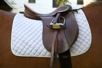 <p><span><strong>a </strong></span>leather<span><strong> </strong></span>seat<span><strong> on a </strong></span>horse<span><strong>: </strong></span></p>