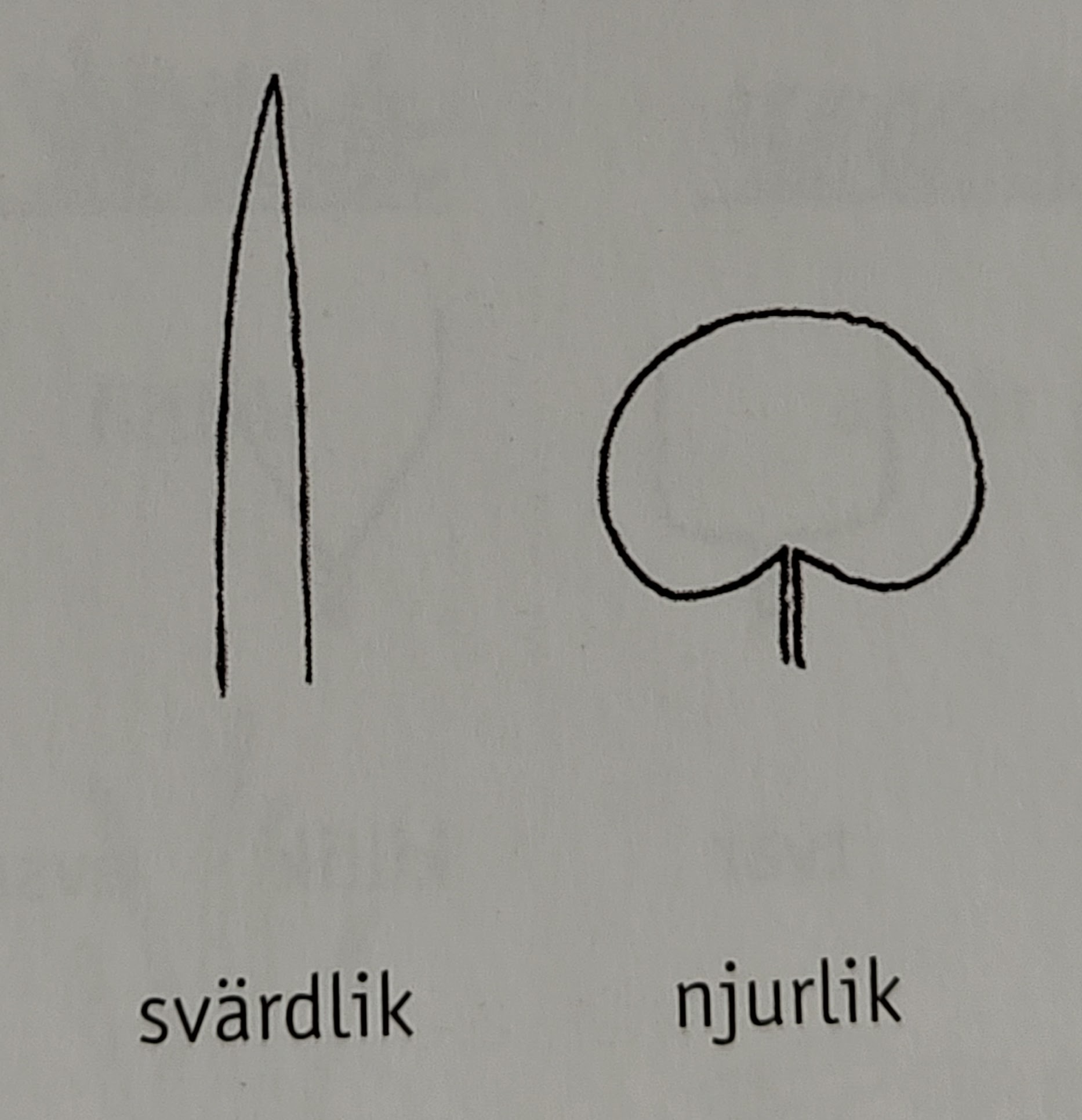 <p></p>