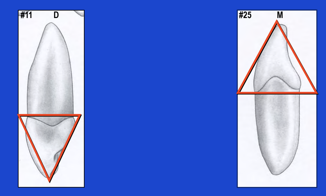 <p>Triangular</p>