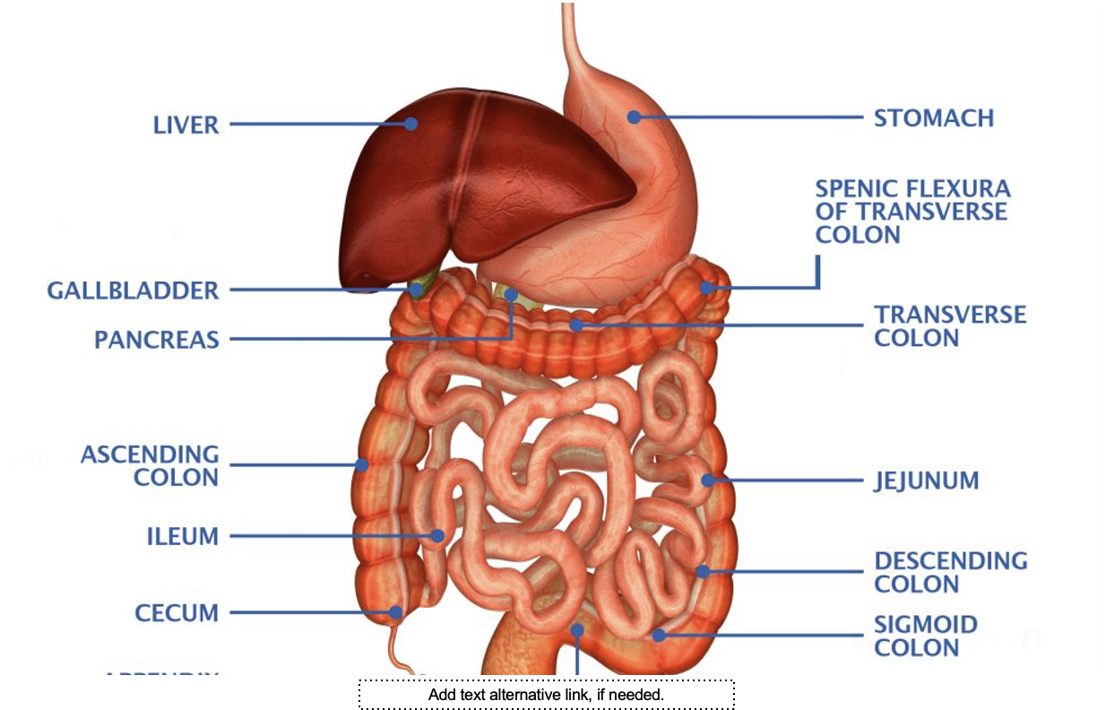 <p>What is this system</p>
