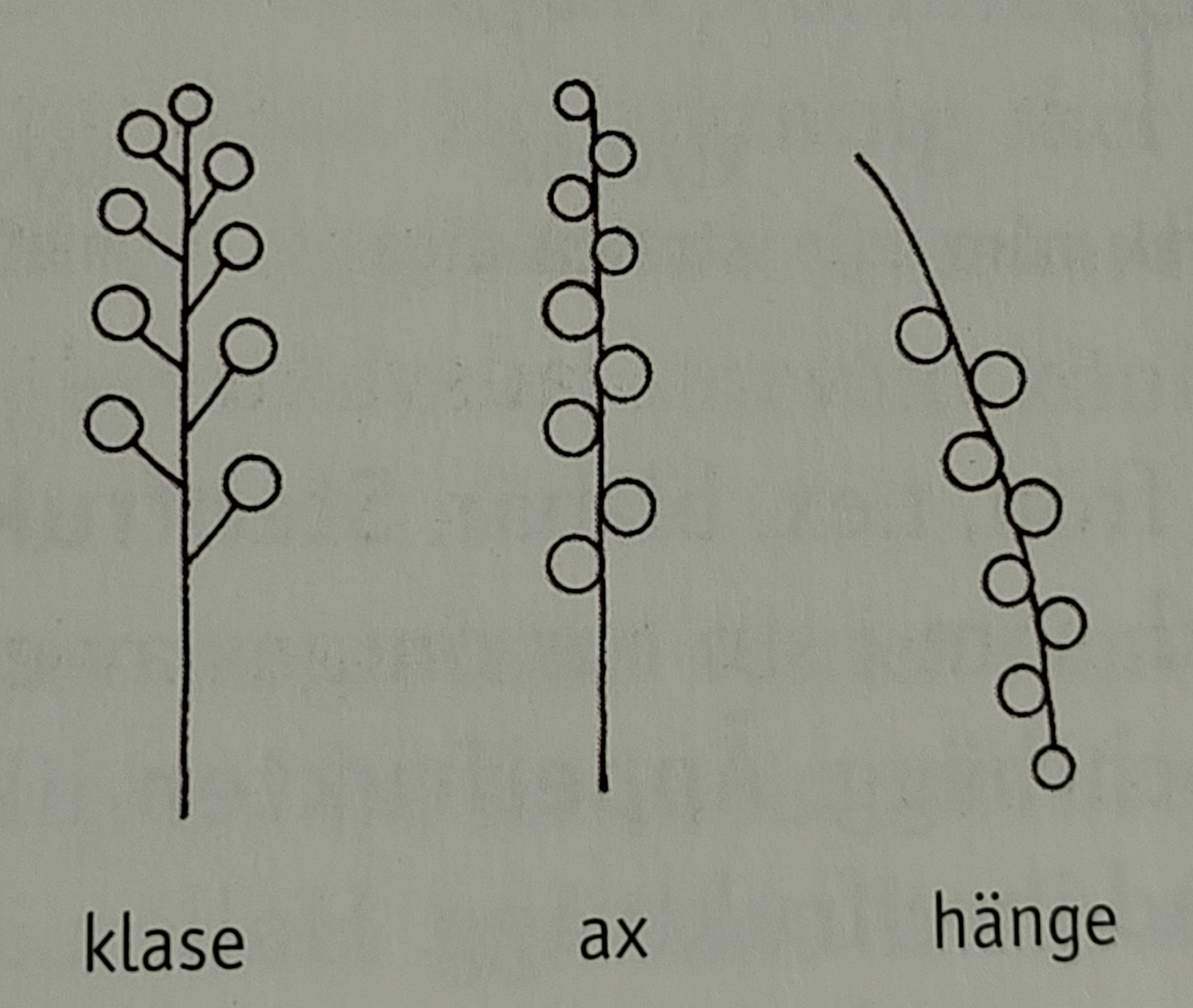 <p></p>